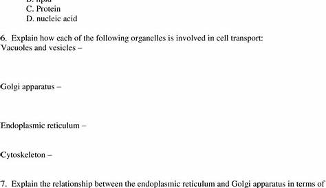 homeostasis and cell transport worksheet