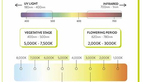 Guide: full-spectrum light for plants (+grow light spectrum chart)