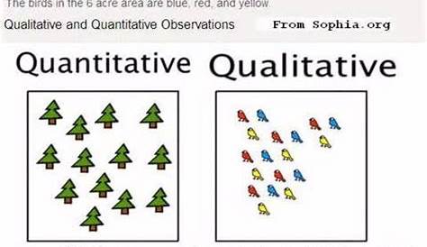 Qualitative Vs Quantitative Worksheet - worksheet