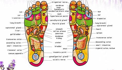 Ionic Detox Foot Bath Color Chart - Resumeform