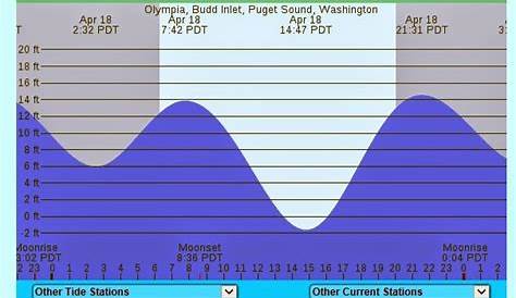 Protect Our Shoreline News: Daylight Minus Tides in South Puget Sound