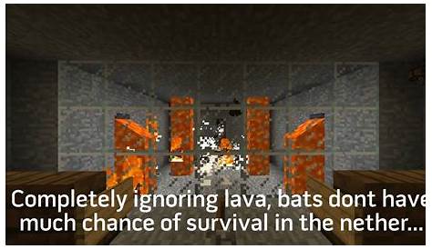 what do minecraft bats eat
