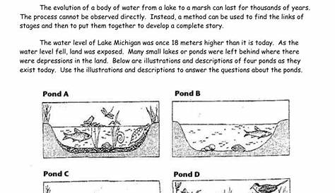 Ecological Succession Worksheet Answers