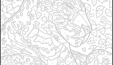 Adult Color By Number Coloring Pages - Coloring Home