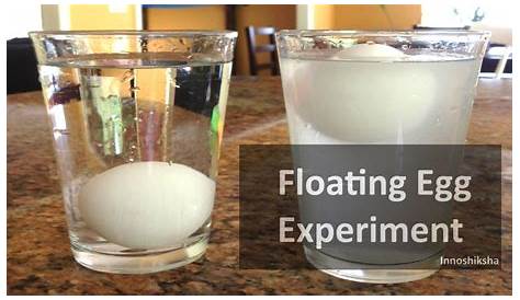 Floating Egg Experiment - Kidpid