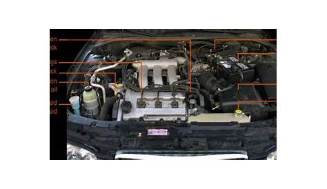car parts under the hood diagram