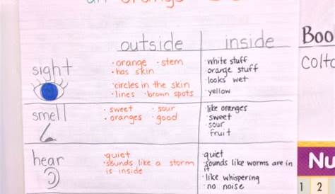 Five Senses Anchor Chart using oranges in a Kindergarten classroom at