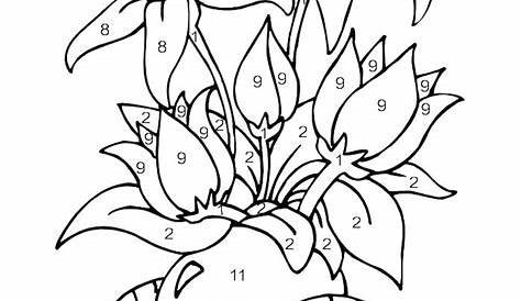 Paint By Number Coloring Pages at GetColorings.com | Free printable