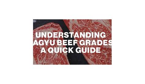wagyu beef grading chart