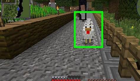 How to Get Eggs in Minecraft: 13 Steps (with Pictures) - wikiHow