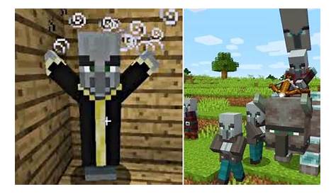 Minecraft: 10 Things You Never Knew About Illagers