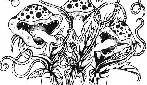 venus fly trap carnivorous plant coloring sheet