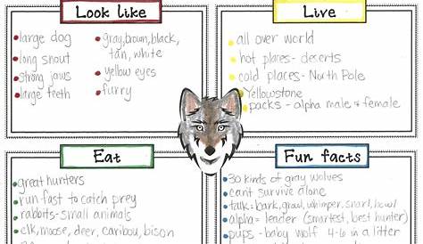 Wolves Informational Text Lessons - Nonfiction Reading Comprehension