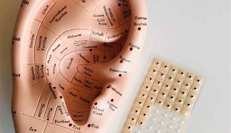 Therapy for the EAR | Reflexology, Ear, Acupressure points