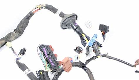 2003-2005 SUBARU FORESTER XT FRONT CHASSIS WIRE WIRING LIGHT HARNESS | eBay