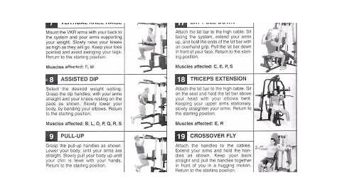 weider home gym exercise chart pdf