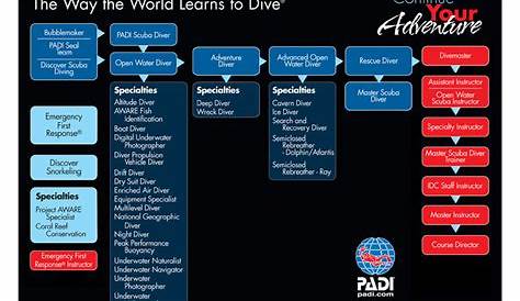 PADI or SSI for your diving courses, how to choose