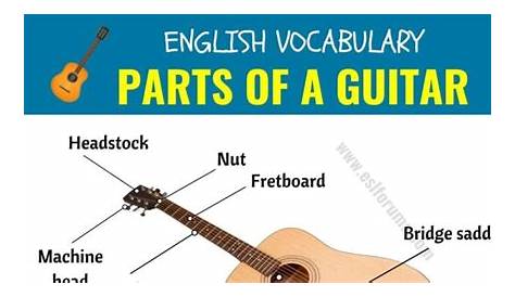 Parts of A Guitar: Different Parts of A Guitar in English with ESL