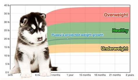 weight husky growth chart