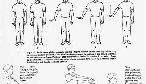 18 best Nerve Glides and Exercises images on Pinterest | Occupational