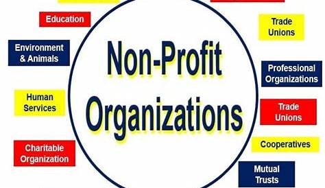 What is a nonprofit organization? Definition and meaning - Market