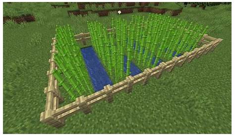 Minecraft Sugarcane