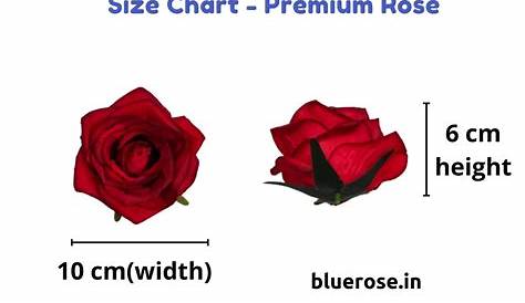 Artificial Roses 10 CM - Premium Quality - Bluerose
