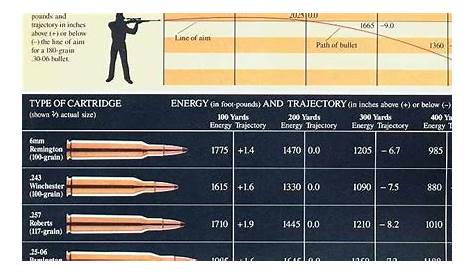 Ammo and Gun Collector: Comparison Of Popular Hunting Rifle Ammo Calibers