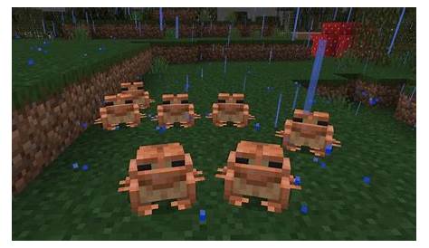 Where will frogs spawn in Minecraft 1.19 The Wild Update?