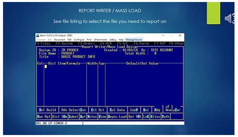 Epicor Eclipse ERP ETerm Report Writer / Mass Load Tool - YouTube
