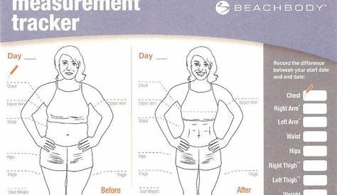 body measurement chart free