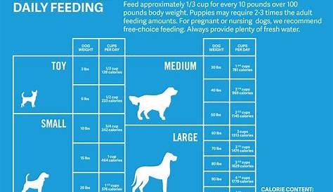How Much Should Dogs Eat? | Calculate How Much to Feed Your Dog | PetMD