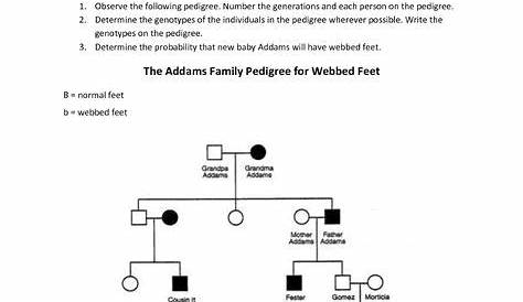 Answer Key Pedigree Worksheet / Mr Hoyle Pedigree Worksheet Biology