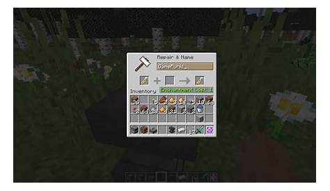 use name tag minecraft