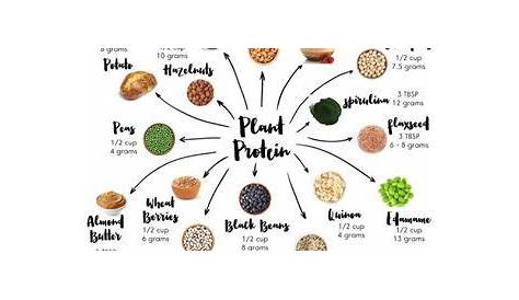 vegan sources of protein chart