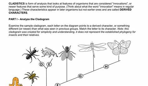 Cladogram Practice Worksheet Answers - Ivuyteq
