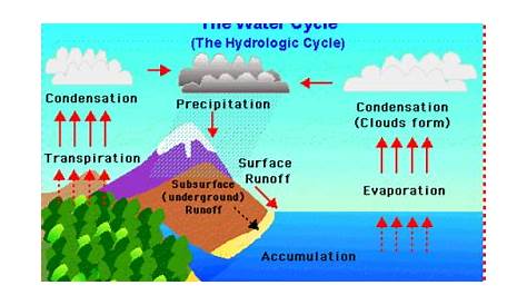water cycle flow chart
