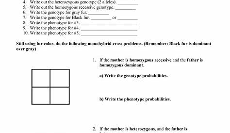 monohybrid crosses practice worksheet answers