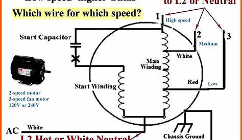 Leeson Motor Wiring Diagram - Wiring Diagram