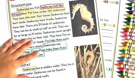 50+ First Grade Nonfiction Reading Comprehension Worksheets Image - Reading