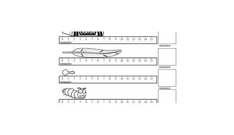2nd Grade Measurement - Worksheets, Lessons, and Printables