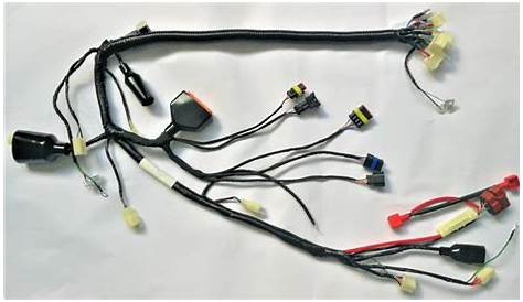 Wire harness for motorcycle