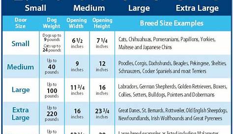 Fromm Large Breed Puppy Feeding Chart