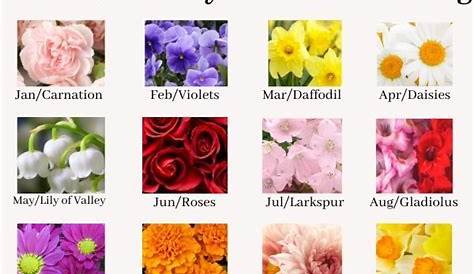 Birth Flowers By Month And Meaning | Flowersandflowerthings | Birth