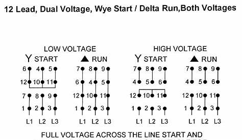 480v 3 Phase 6 Lead Motor Wiring Diagram - Wiring Diagram