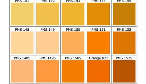 FREE 11+ Sample General Color Chart Templates in PDF | MS Word