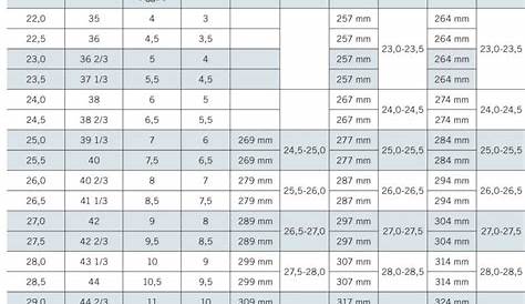 Evo Ski Size Chart
