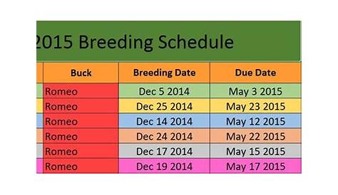 boer goat breeding chart