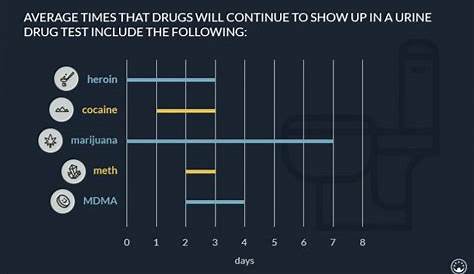 how long does drug stay in your system chart