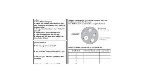 AQA GCSE Biology Required Practical Worksheets | Teaching Resources